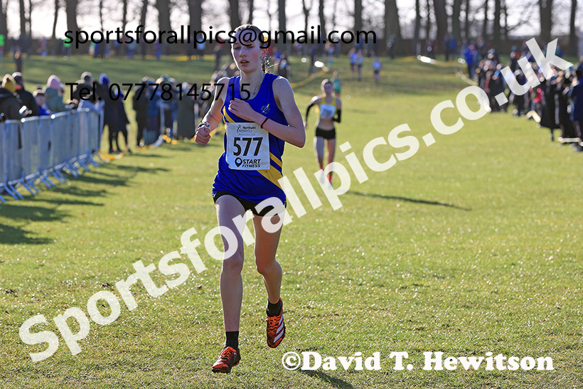 Womens under-17s 2025 Northern Cross Country Champs, Tatton Park, Knutsford, Cheshire. Photo: David T. Hewitson/Sports for All Pics